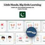 All About Me Bundle: 3 Part Montessori Urdu Language Flashcards