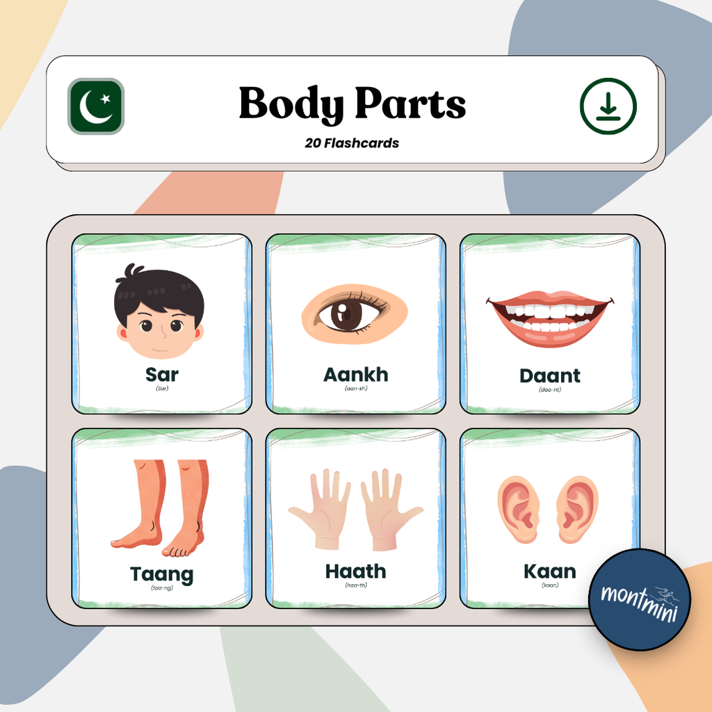 Body Parts: 3 Part Montessori Urdu Language Flashcards
