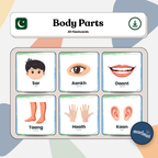 Body Parts: 3 Part Montessori Urdu Language Flashcards