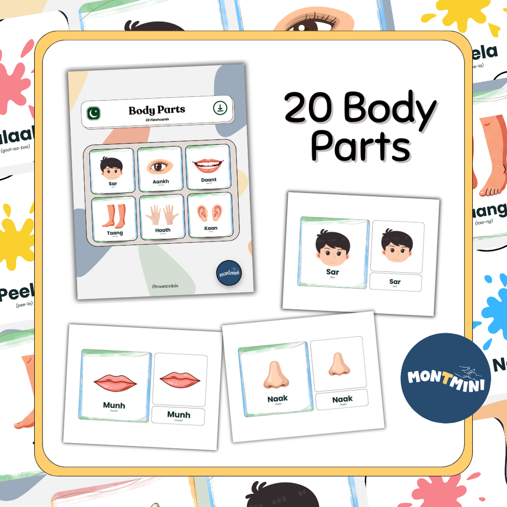 All About Me Bundle: 3 Part Montessori Urdu Language Flashcards