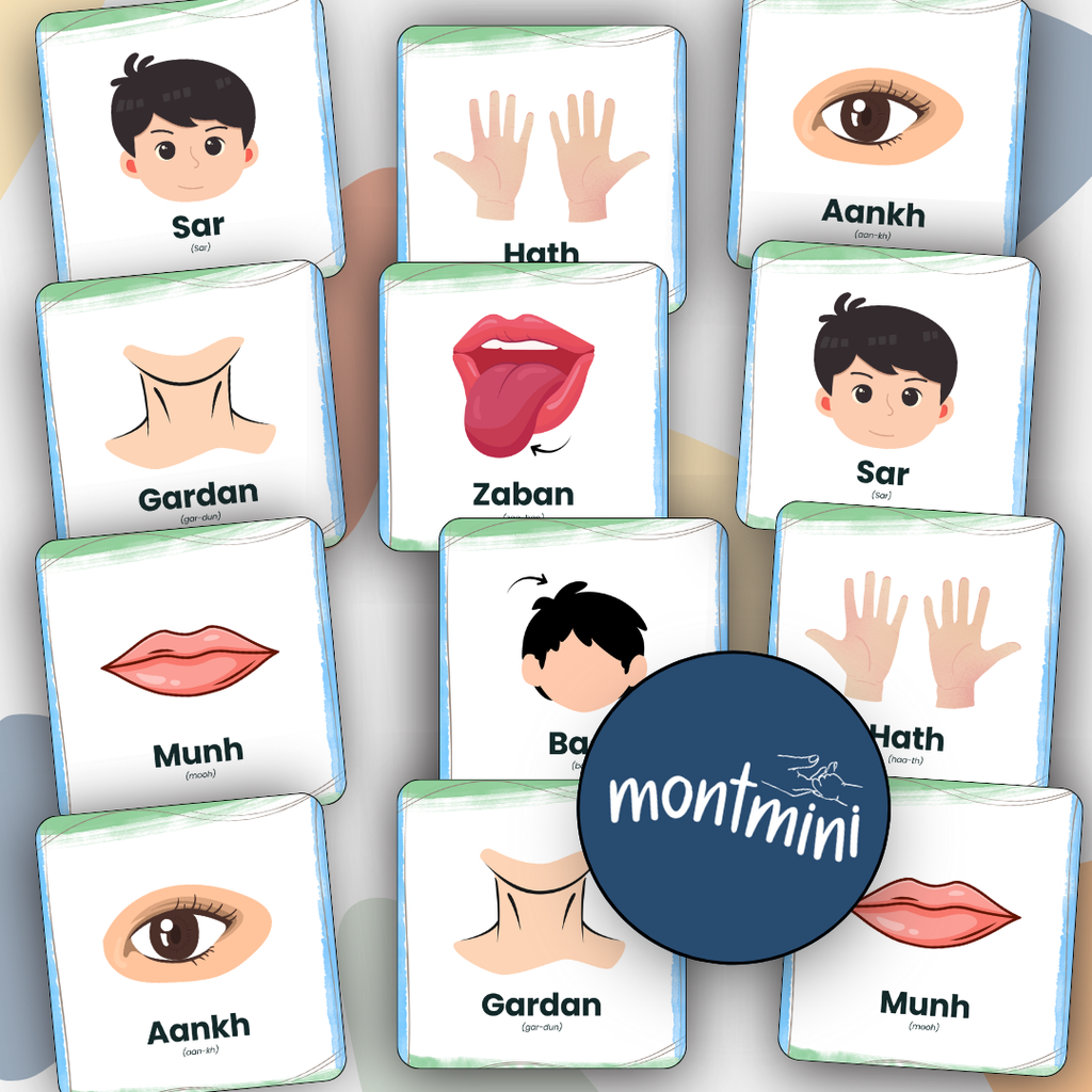 Body Parts: 3 Part Montessori Urdu Language Flashcards