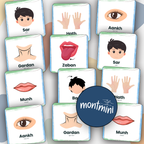 Body Parts: 3 Part Montessori Urdu Language Flashcards