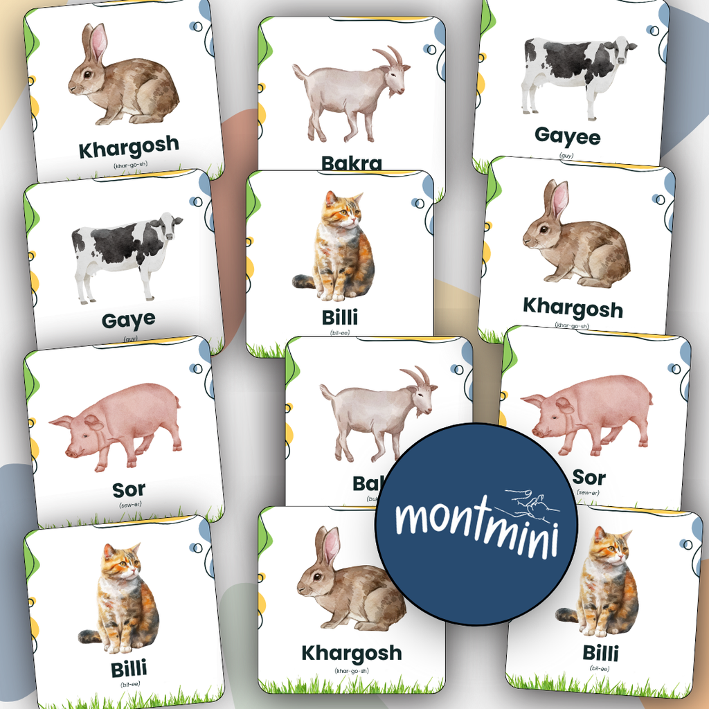 Farm Animal: 3 Part Montessori Urdu Language Flashcards