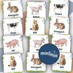 Farm Animal: 3 Part Montessori Urdu Language Flashcards