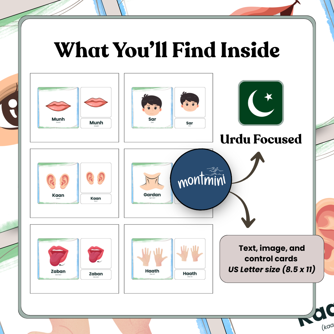 Body Parts: 3 Part Montessori Urdu Language Flashcards