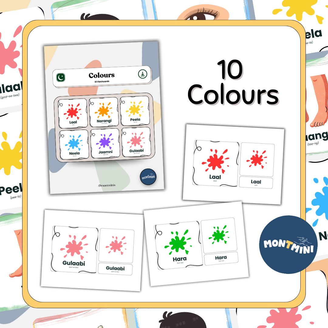 All About Me Bundle: 3 Part Montessori Urdu Language Flashcards