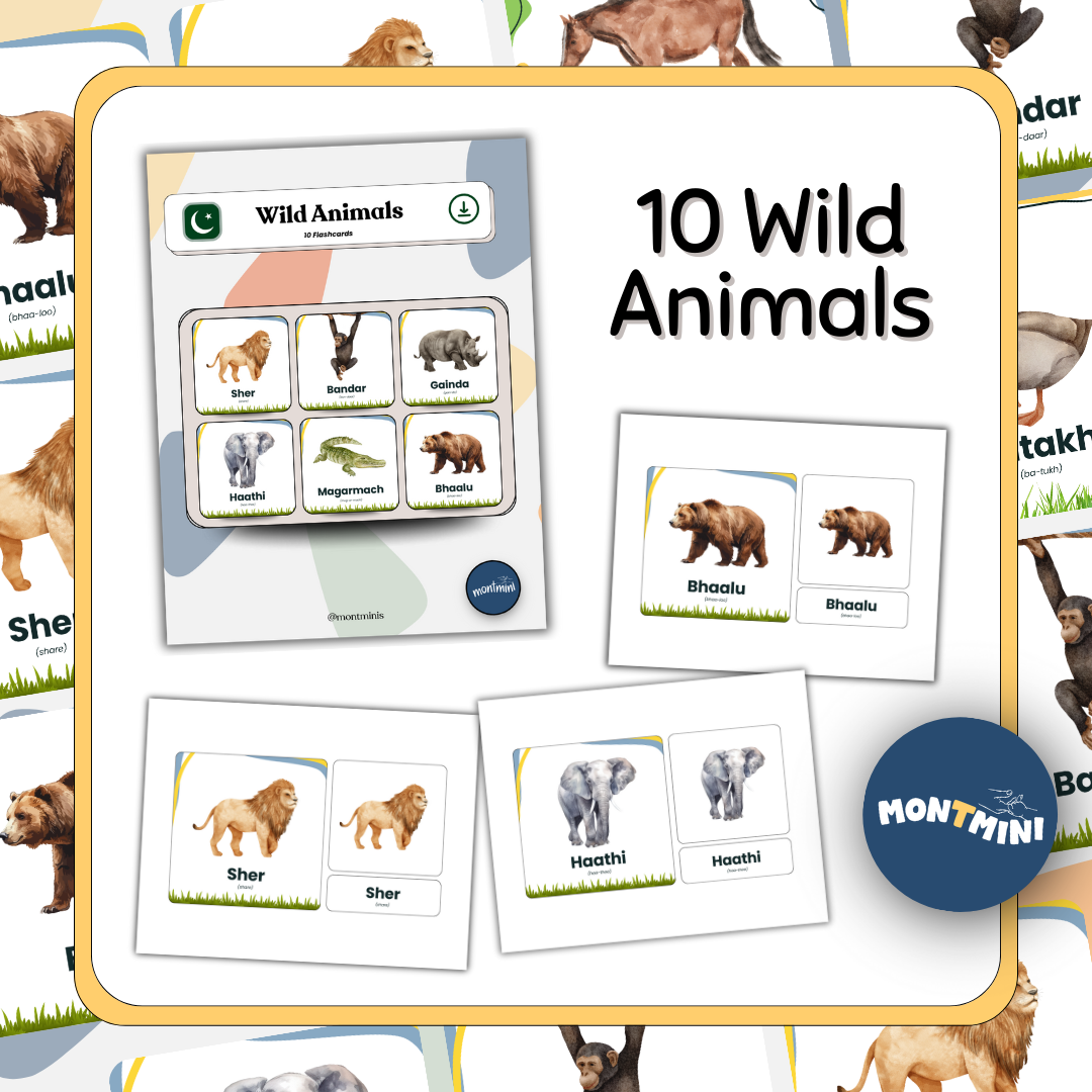 Animals Bundle: 3 Part Montessori Urdu Language Flashcards