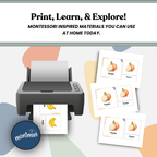 Fruits and Vegetables: 3 Part Montessori Urdu Language Flashcards