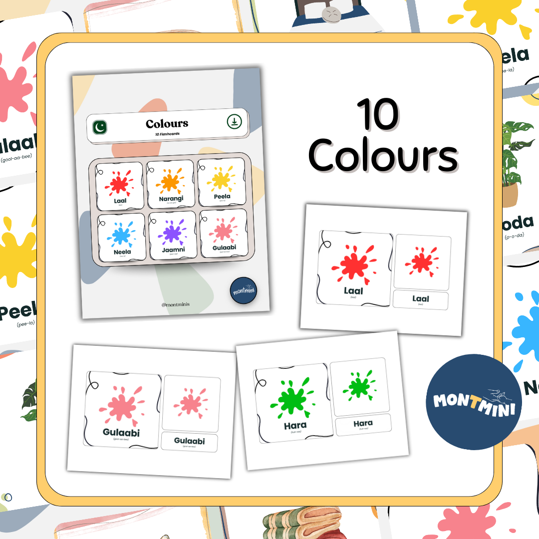 Around the Home Bundle: 3 Part Montessori Urdu Language Flashcards