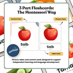 Fruits and Vegetables: 3 Part Montessori Urdu Language Flashcards