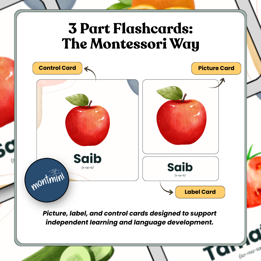Fruits and Vegetables: 3 Part Montessori Urdu Language Flashcards