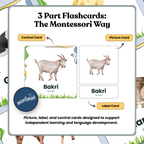 Farm Animal: 3 Part Montessori Urdu Language Flashcards