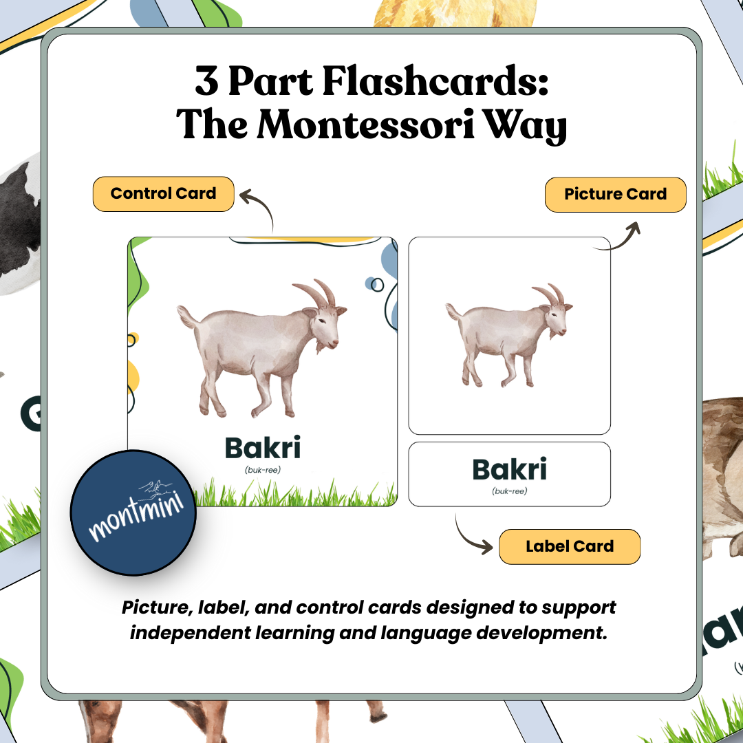 Farm Animal: 3 Part Montessori Urdu Language Flashcards