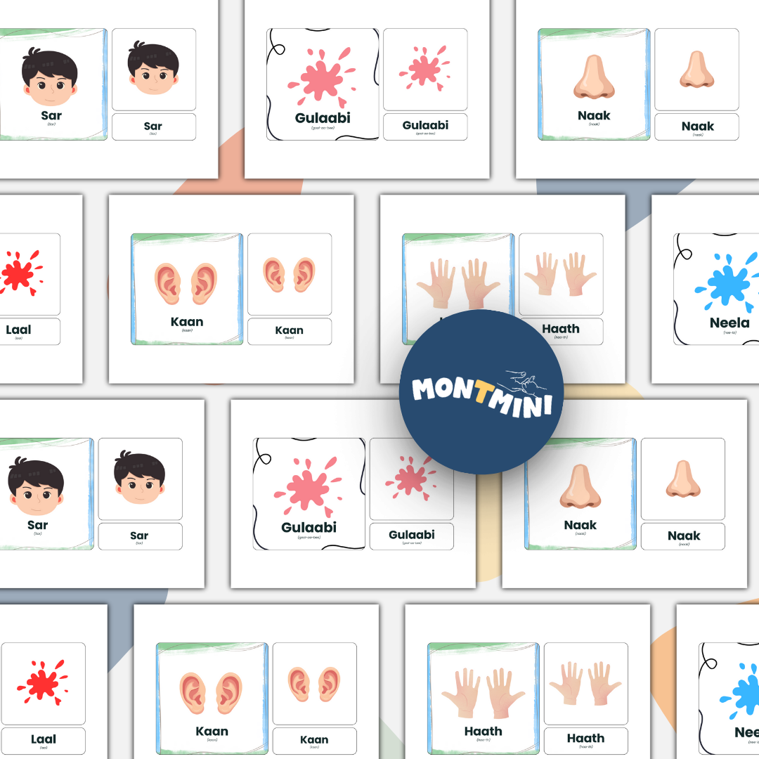 All About Me Bundle: 3 Part Montessori Urdu Language Flashcards