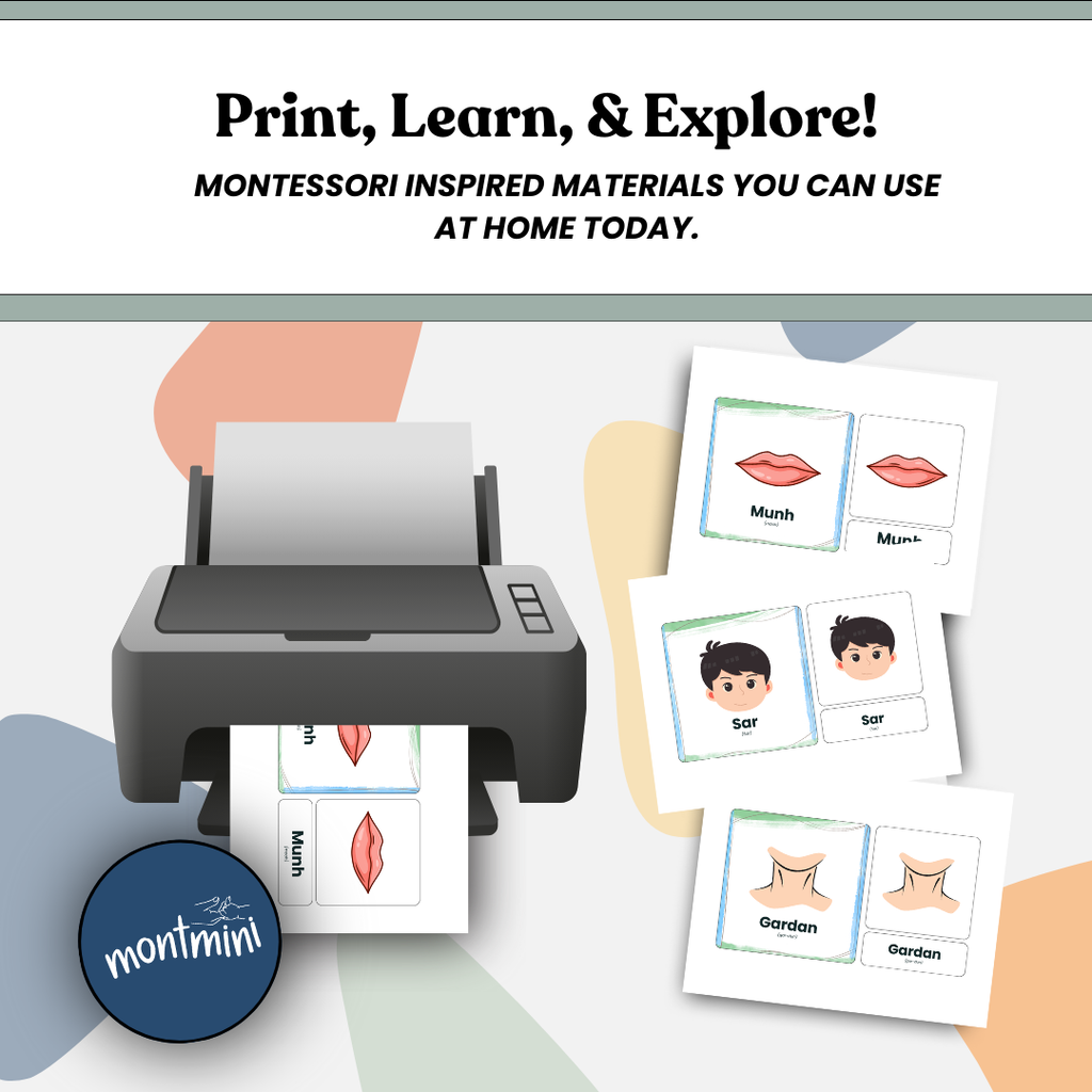 Body Parts: 3 Part Montessori Urdu Language Flashcards