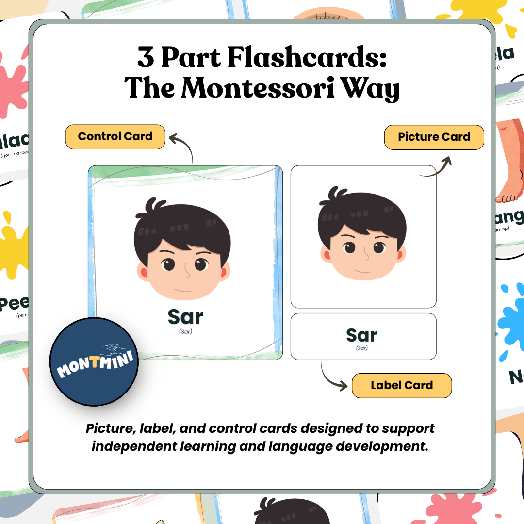 All About Me Bundle: 3 Part Montessori Urdu Language Flashcards