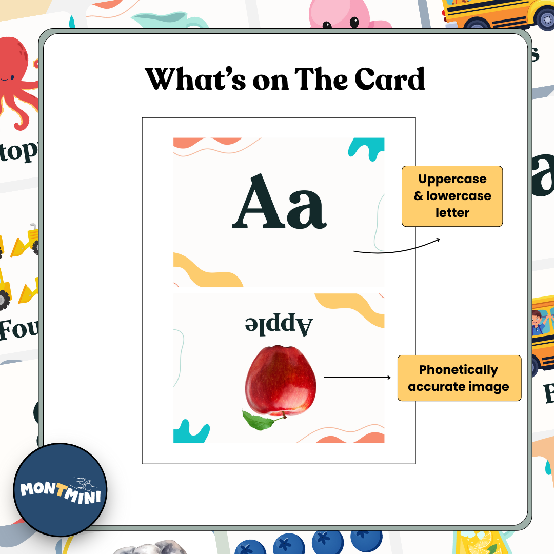 Montessori Phonetic Alphabet + Number Flashcards (A–Z, 1–10)