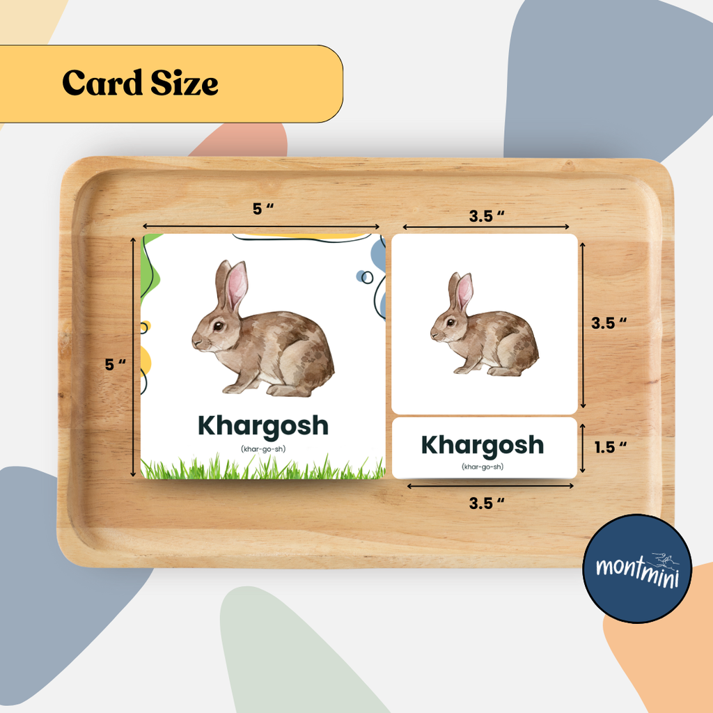 Farm Animal: 3 Part Montessori Urdu Language Flashcards