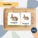Farm Animal: 3 Part Montessori Urdu Language Flashcards