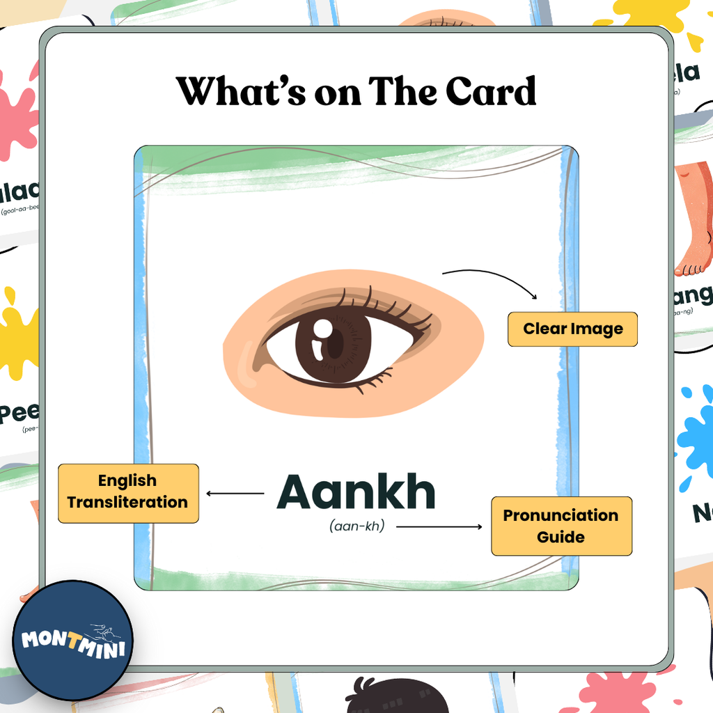 All About Me Bundle: 3 Part Montessori Urdu Language Flashcards