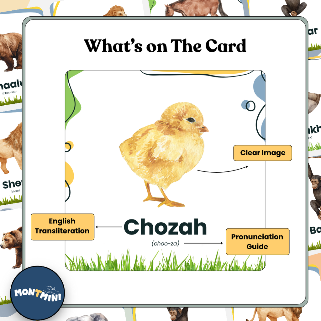 Animals Bundle: 3 Part Montessori Urdu Language Flashcards