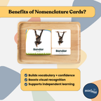 Wild Animals: 3 Part Montessori Urdu Language Flashcards