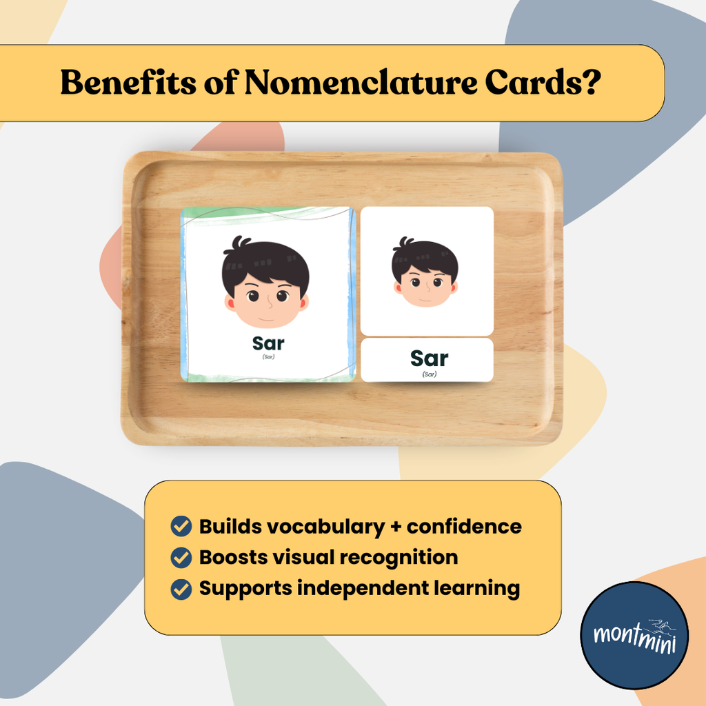 Body Parts: 3 Part Montessori Urdu Language Flashcards