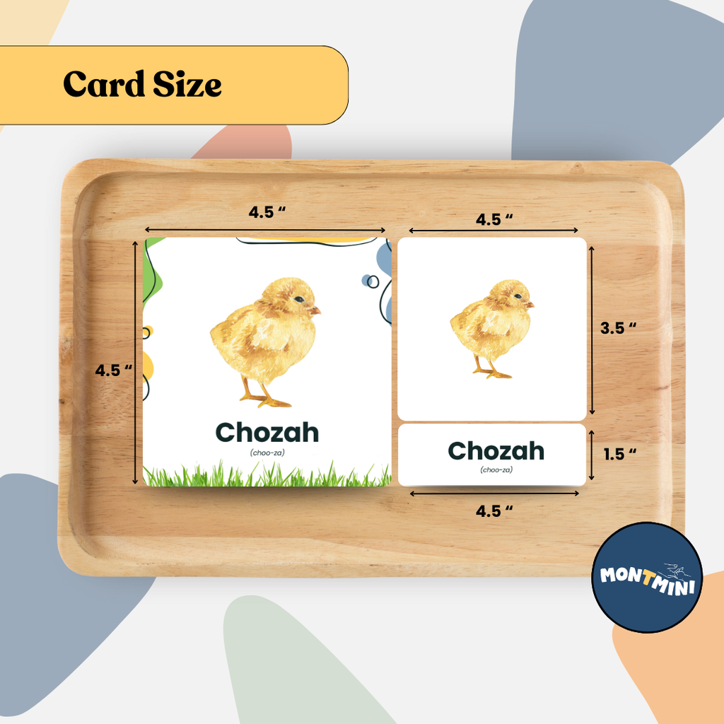 Animals Bundle: 3 Part Montessori Urdu Language Flashcards