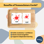 Colours: 3 Part Montessori Urdu Language Flashcards