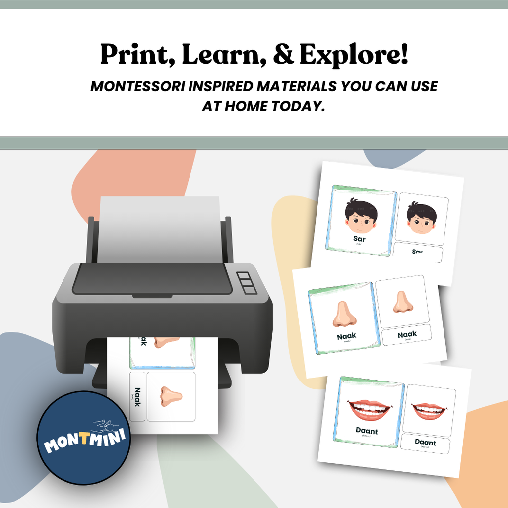 All About Me Bundle: 3 Part Montessori Urdu Language Flashcards