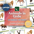Animals Bundle: 3 Part Montessori Urdu Language Flashcards
